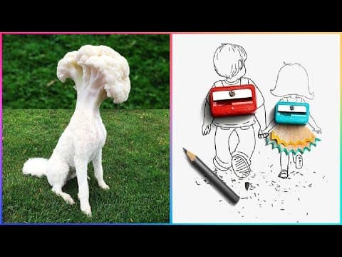 So creative ideas that are at another level 12