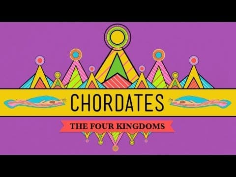 Chordates - CrashCourse Biology