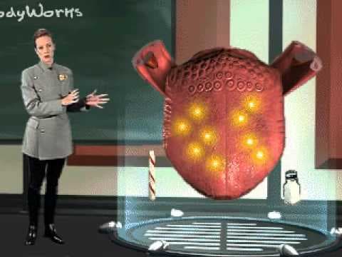 Our Tongue And How We Taste?