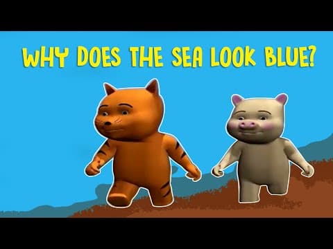 Interesting Fact About Blue Sea | Why Does Sea Look Blue