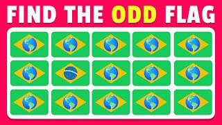 Spot the Different Flag