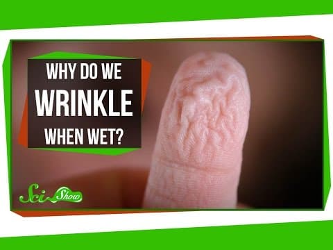 Why Do We Wrinkle When Wet? - YouTube