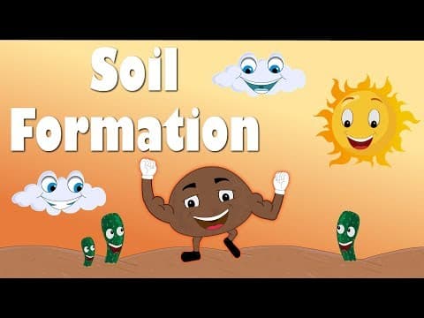 Soil formation