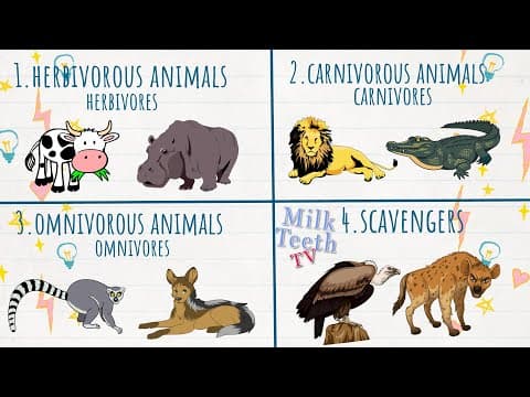 Types of Animals - Herbivores Carnivores Omnivores and Scavengers | Eating habits of Animals