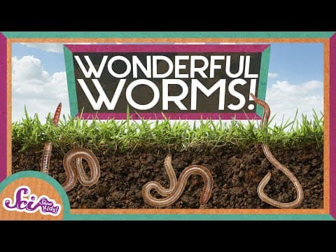 Worms Are Wonderful | Amazing Animals | Backyard Science | SciShow Kids - YouTube