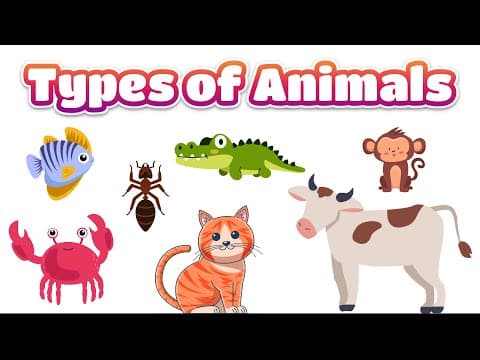 Types of Animals for Kids | Wild, Domestic, Pet, Aquatic, Birds, Insects & Reptiles Explained
