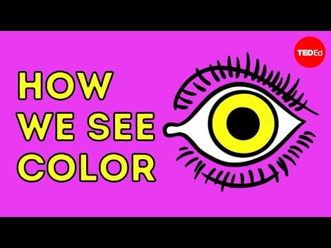 How we see color-colm kelleher
