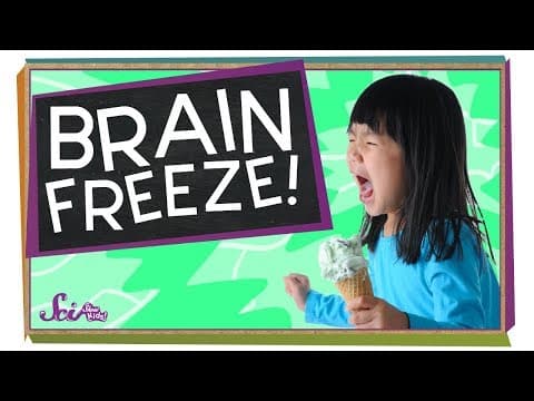 Why Does Ice Cream Hurt My Head?