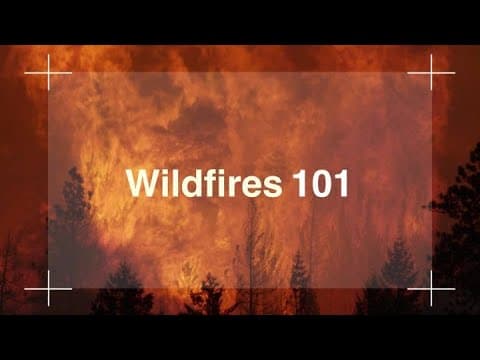 Eyes in Space: Wildfires 101 and how NASA fights them