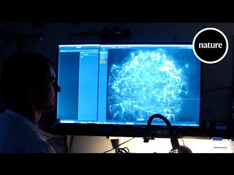 Why human brain cells grow so slowly