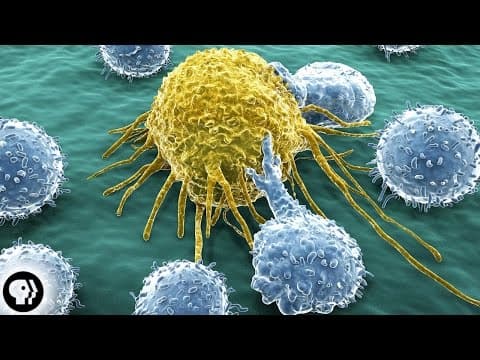 Why Do So Many People Get Cancer?