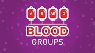 Why do we have different BLOOD GROUPS| Why Do we need Blood Transfusion