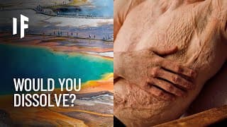 What If You Fell into a Yellowstone Hot Spring