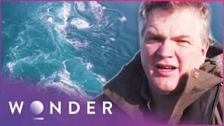 Ray Mears Faces The World's Most Dangerous Tropical Tides | Australian Wilderness S1 EP5 | Wonder