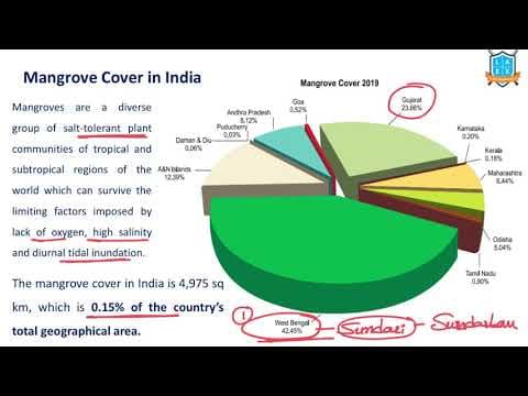 What is Mangrove Cover in India ? || Mangrove Cover in India అంటే ఏమిటి?
