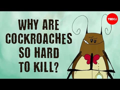 Why are cockroaches so hard to kill? - Ameya Gondhalekar - YouTube