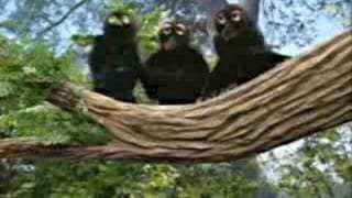 Sesame Street Song- Counting 1-2-3