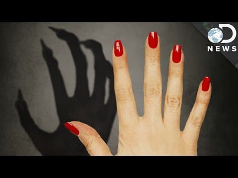 Why Do We Have Fingernails and Not Claws? #AskDNews