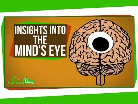 New Insights Into 'The Mind's Eye'