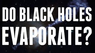 Do Black Holes Evaporate?