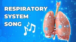 The Respiratory System Song  Fun Biology Music