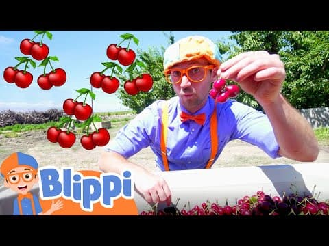 Blippi visits a cherry farm - healthy eating for children