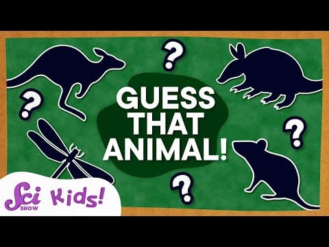 Animal Guessing Game! | Compilation | SciShow Kids