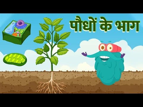 पार्ट्स ऑफ़ प्लांट्स | पौधों के भाग | Parts Of A Plants In Hindi | Dr. Binocs Show | Plants Videos
