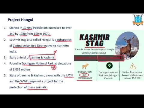 What is Project Hangul ? || Project Hangul అంటే ఏమిటి?