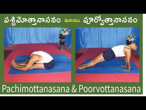 Pachimottanasana and Poorvottanasana by Kuppi Reddy | Pachimottanasana and Poorvottanasana in Telugu