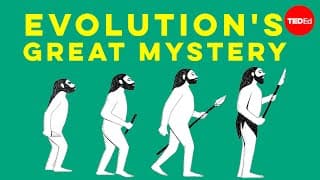 Evolution’s great mystery: Language