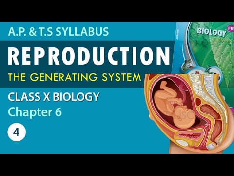 Reproduction Explanation in Telugu |  Biology  part-4