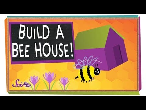 Build a Beehouse! | Science Project for Kids