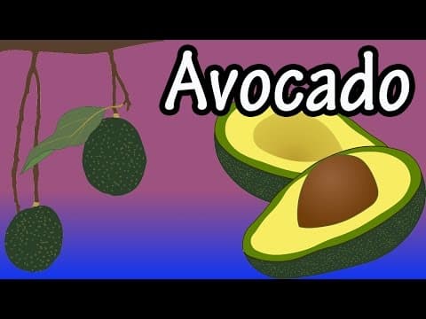 Health Benefits of Avocados Nutrition And Calories Of Avocados