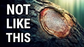 Apparently tree FINGERPRINTS are a thing