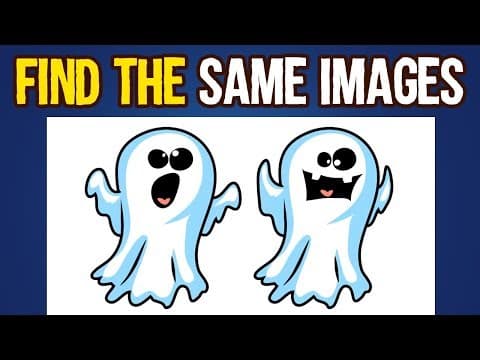 Find the 2 same images - find the same images challenge