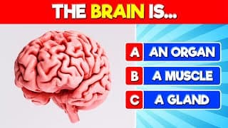 Human Body Quiz | How Much Do Know About the Human Body