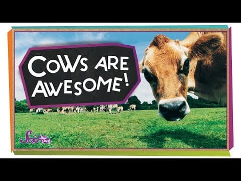 4 Reasons Cows are Awesome! | Animal Science for Kids