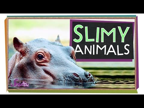 Slimy Animals! | Hippos, Frogs, and More | Amazing Animals | SciShow Kids