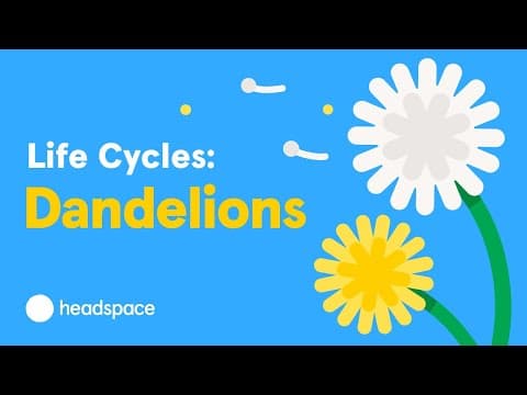 The Mindful Evolution of the Dandelion - YouTube