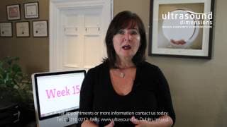 15 Weeks Pregnant - Your 15th Week Of Pregnancy