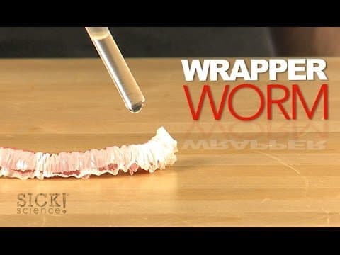 Wrapper Worm - Sick Science