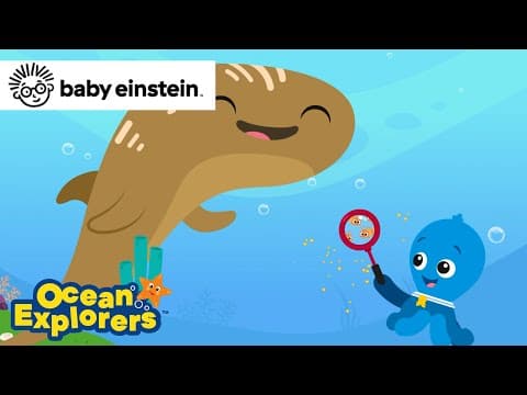 Big & Small with Underwater Friends - NEW Happy Song - Ocean Explorers