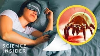 Here's What's Inside Your Dirty Sheets