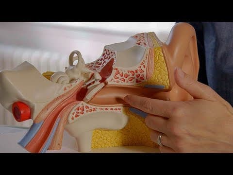 How NOT to Clean Your Ears | Earth Science