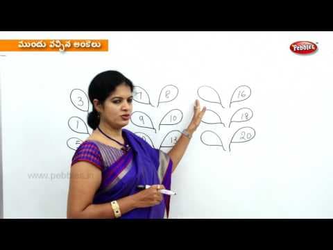 Learn before and after numbers - maths for kids