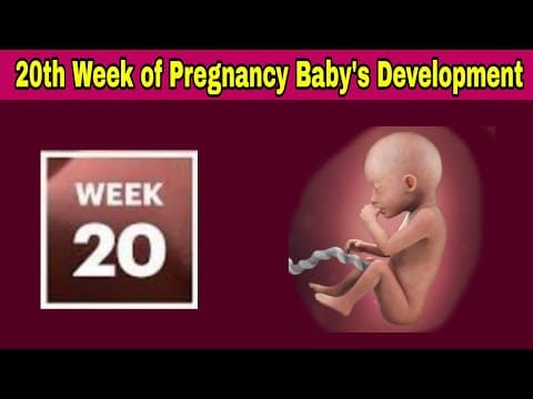 20th Week of Pregnancy Symptoms, Changes & Baby Development | 20th Week of Pregnancy in telugu