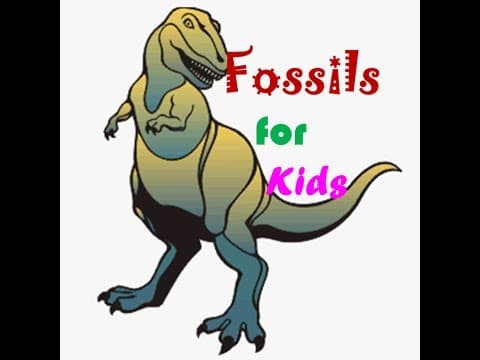 Fossils for kids - YouTube