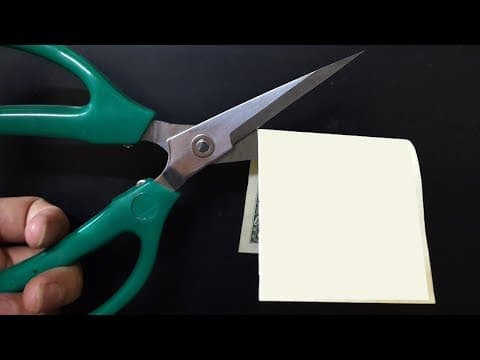 5 Fantastic Magic Tricks Anyone Can Do!