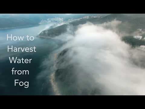 Harvest Water from Fog Science Project - YouTube